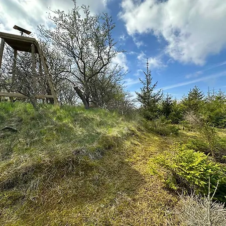 Cozy Tiny House In Nature - B Apartament Sejerby